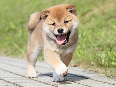 暖かい春の日!!